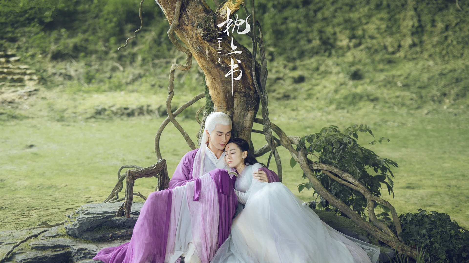 中国象棋协会发布象棋职业棋手培养计划,象棋职业棋手训练