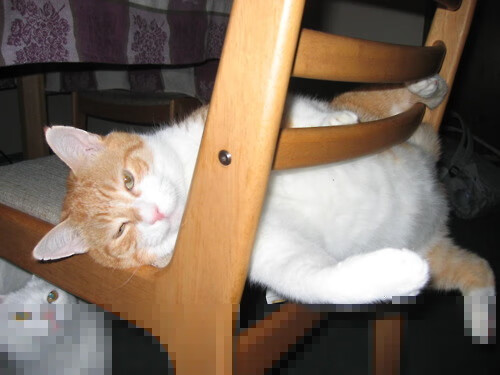 开云网页版-国际台球联盟宣布新举办地，国际台球大赛