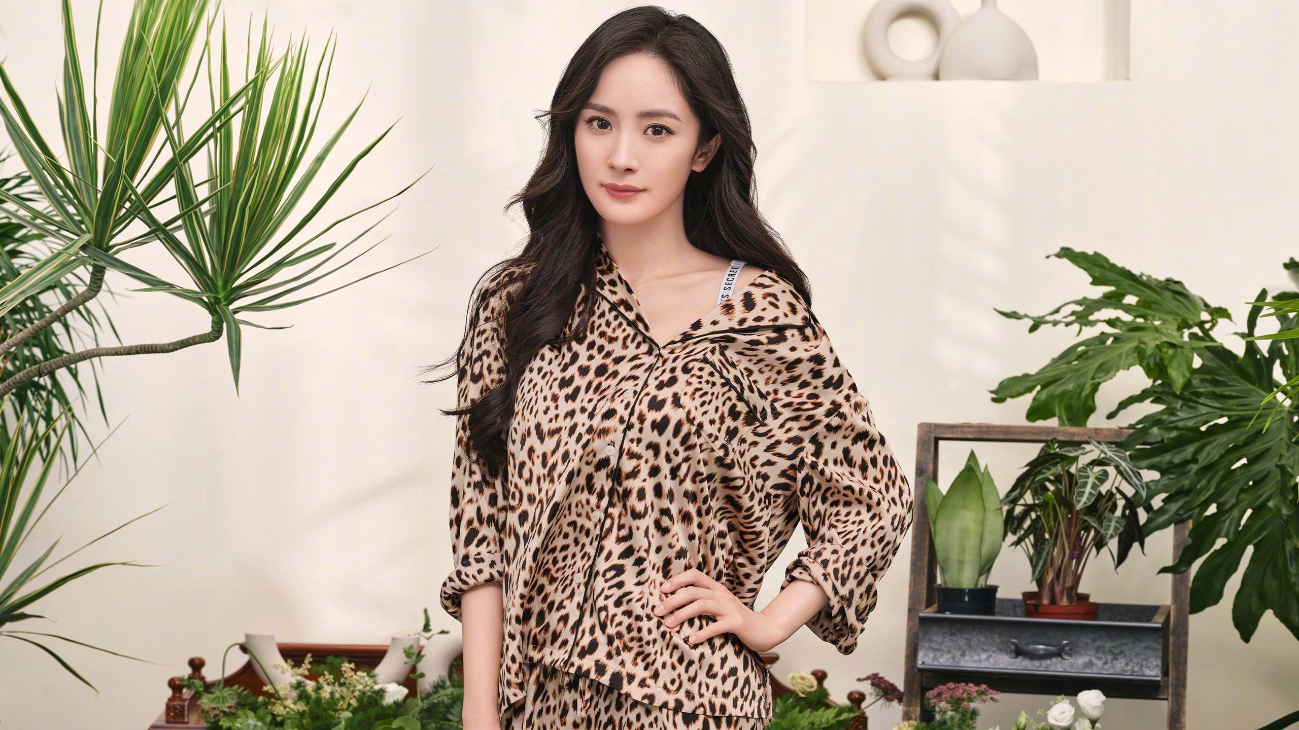 法甲战术创新,专家点评成功转型桥段与未来趋势,法甲实力分析