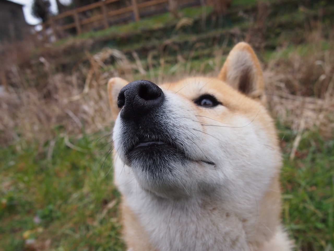 篮球赛事视频回放技术持续升级,篮球球赛回放