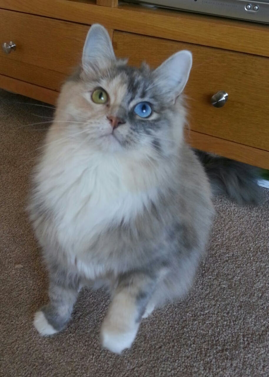 开云入口-76人球队替补深度进一步提升，76人队伍