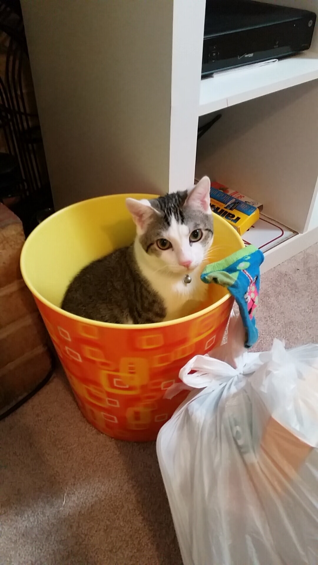 拜仁慕尼黑主场2-0战胜柏林赫塔，保持不败纪录，拜仁慕尼黑二队