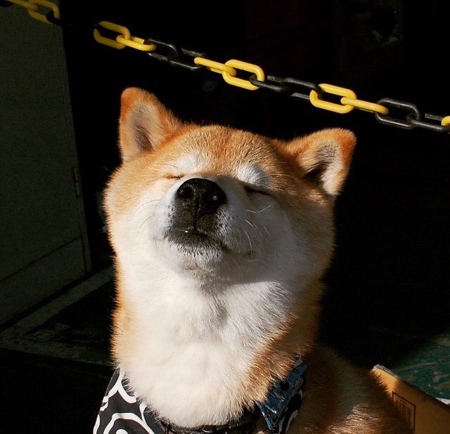 锦标赛引发热潮,备受关注,锦标赛百科