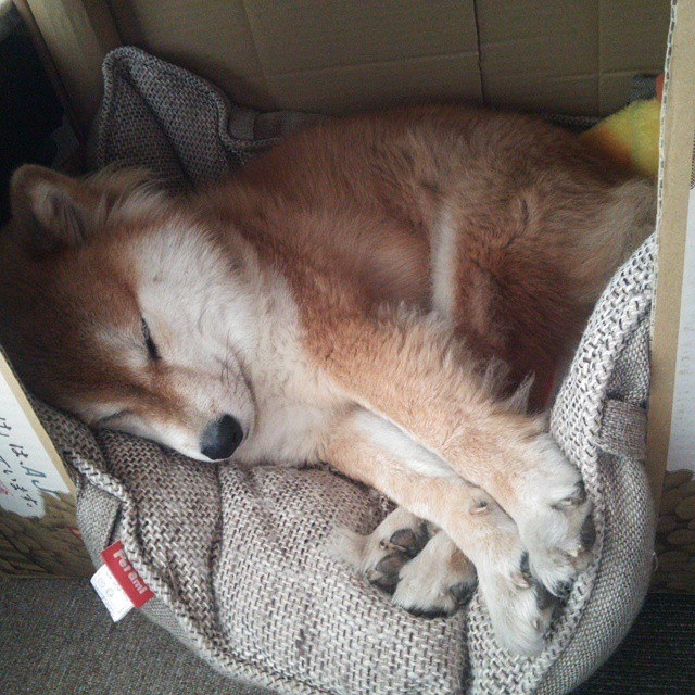 NBA联盟与球员工会关系演变及其对政策影响,nba球员工会人员名单