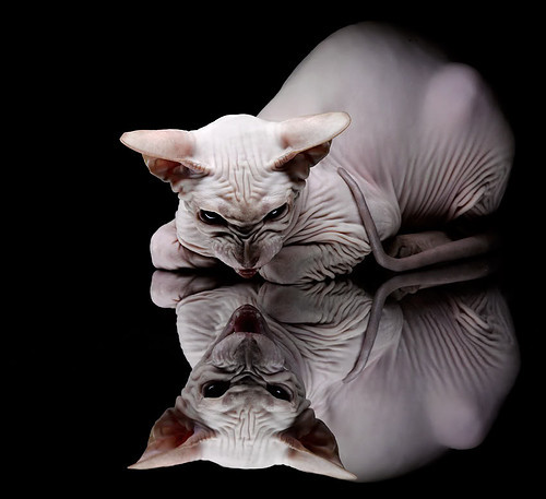 中超俱乐部区域分布密度研究,中超俱乐部价值