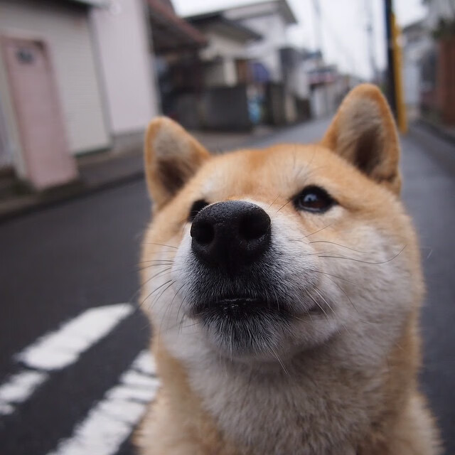 中超各阶段比赛换人时间策略分析模型,中超秒换人