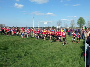 开云体育APP下载-青少年体育活动参与动机分析与提升，青少年体育活动参与动机分析与提升研究