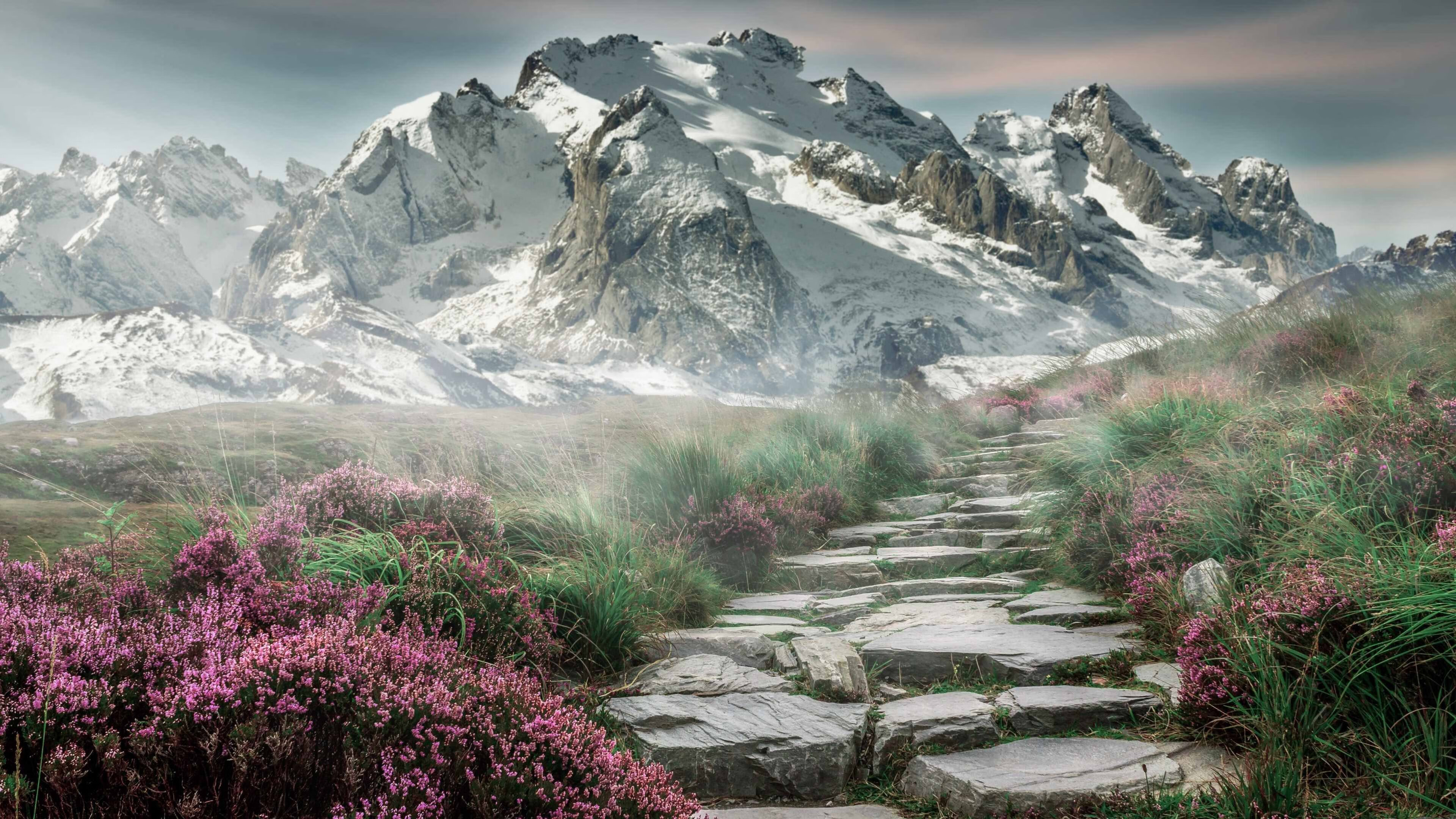 kaiyun体育app-中国三人篮球世界系列赛再夺银牌 球迷掌声不断，中国三人篮球参赛名单