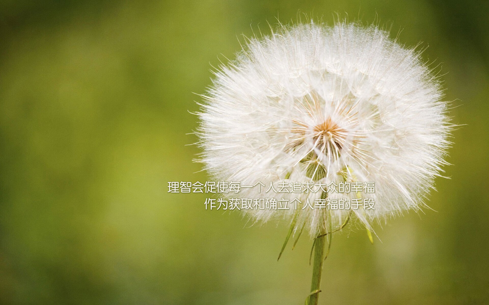 开云·Kaiyun网页版-五大联赛是否增强门将在对抗高压时的传控训练权重，五大联赛进球的门将