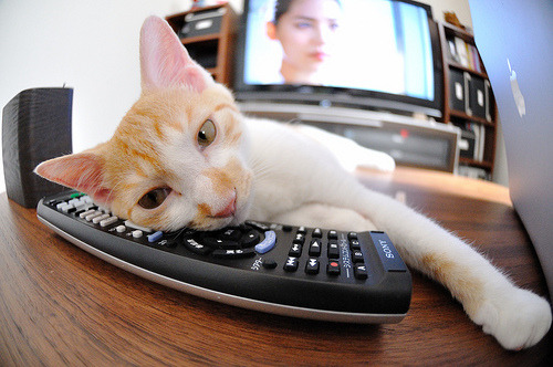 开云中国大陆-国家队轮换节奏是否打乱攻防节奏平衡，国家队换装备