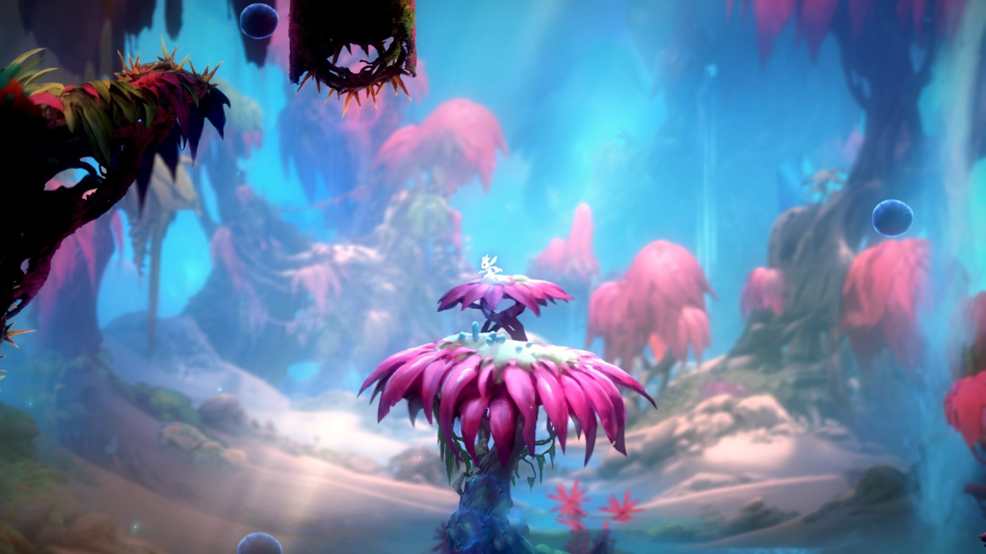 中国男子接力队用实力回应所有质疑,中国男子接力队员