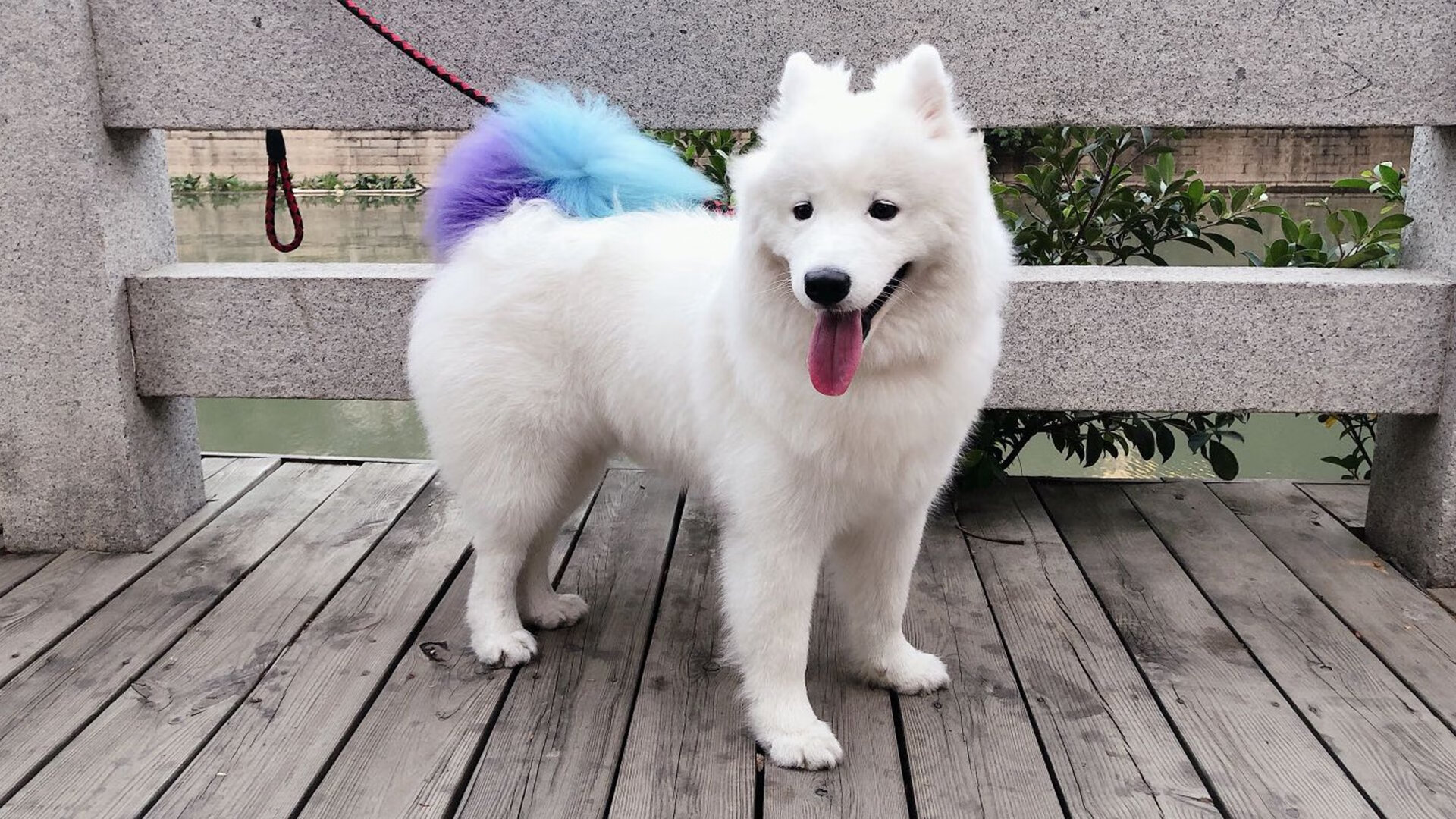 kaiyun登录入口-中超球队培养年轻门将提升本土守门实力，中超守门员教练年薪