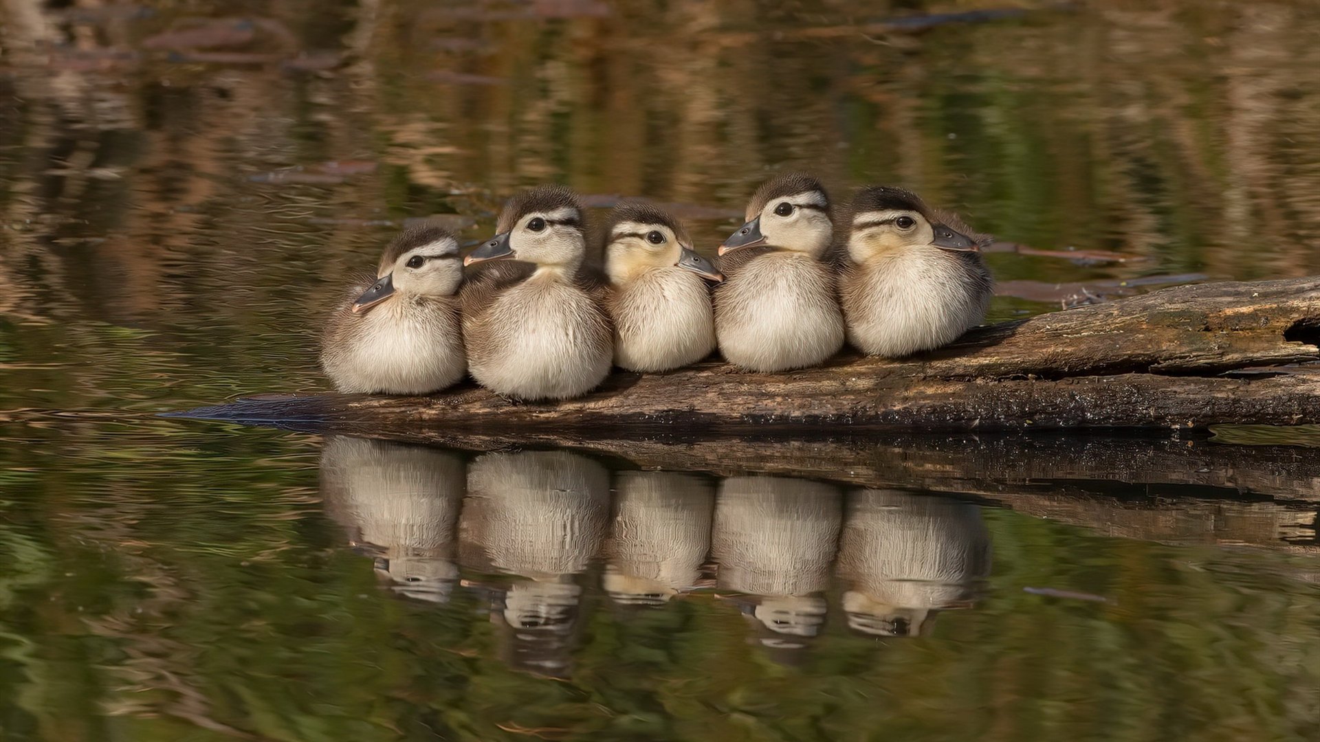 kaiyun官方网站-未来足球场地设计趋势，融入更多科技元素，2021足球场地建设规划