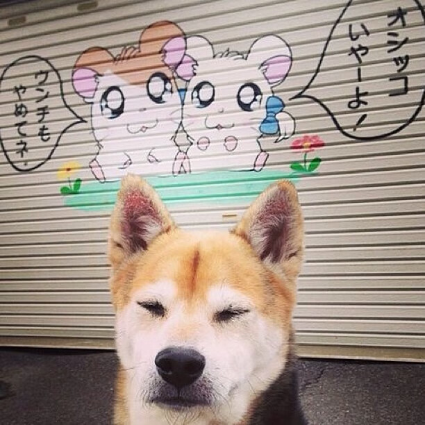 陈艺文赛前备战画面曝光,陈艺文赛前备战画面曝光视频