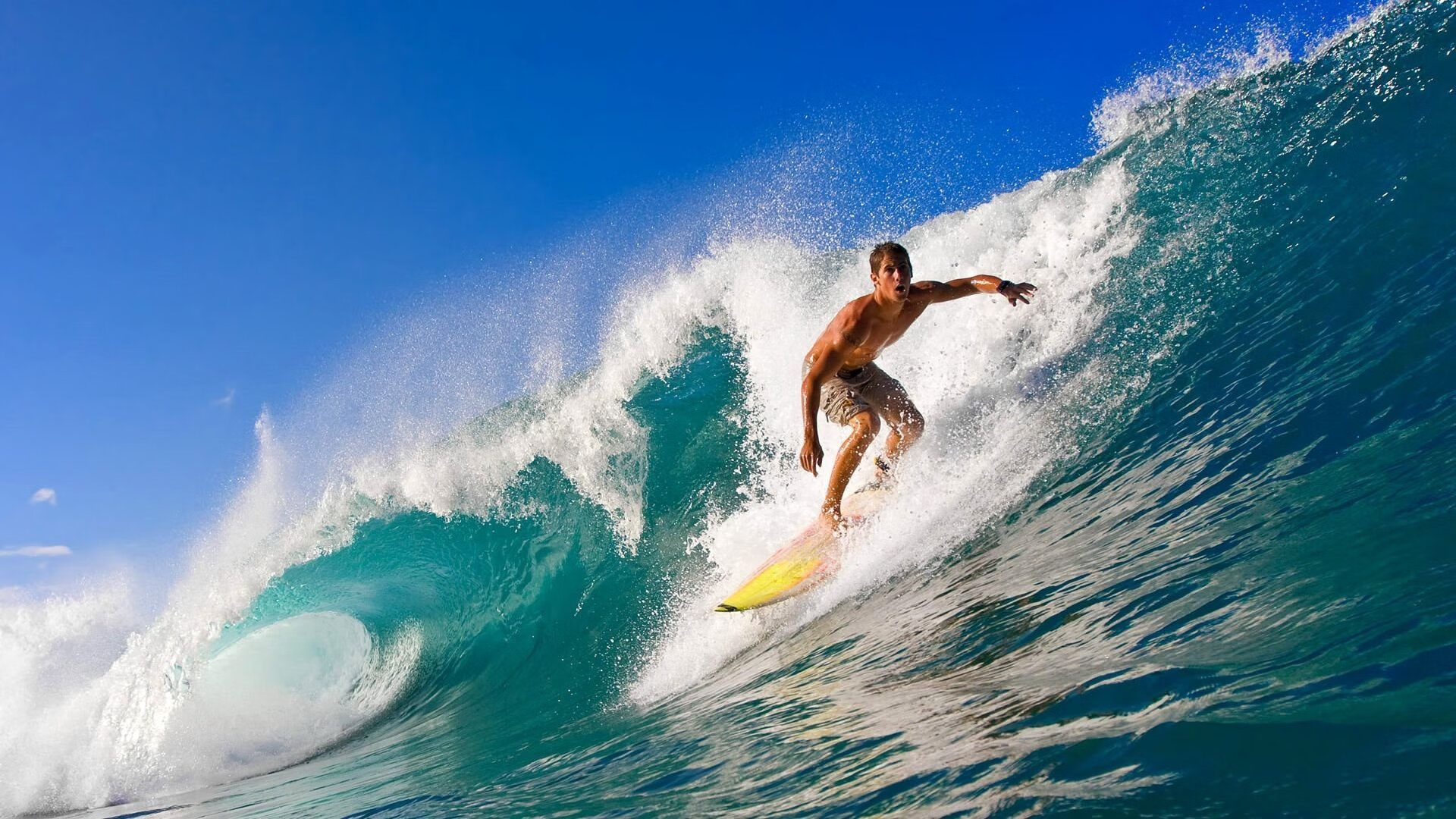 _全球名人网球嘉年华：明星云集，娱乐与竞技兼备_，网球名人排名